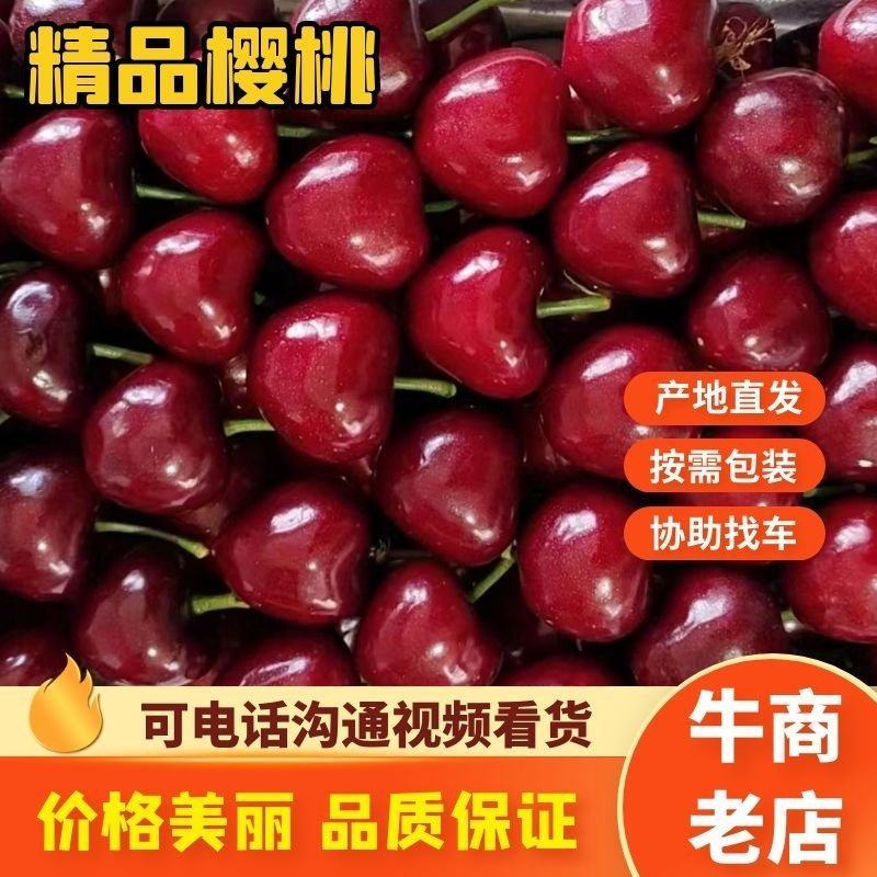 山东大樱桃产地全国发货一手货源质优价廉欢迎合作
