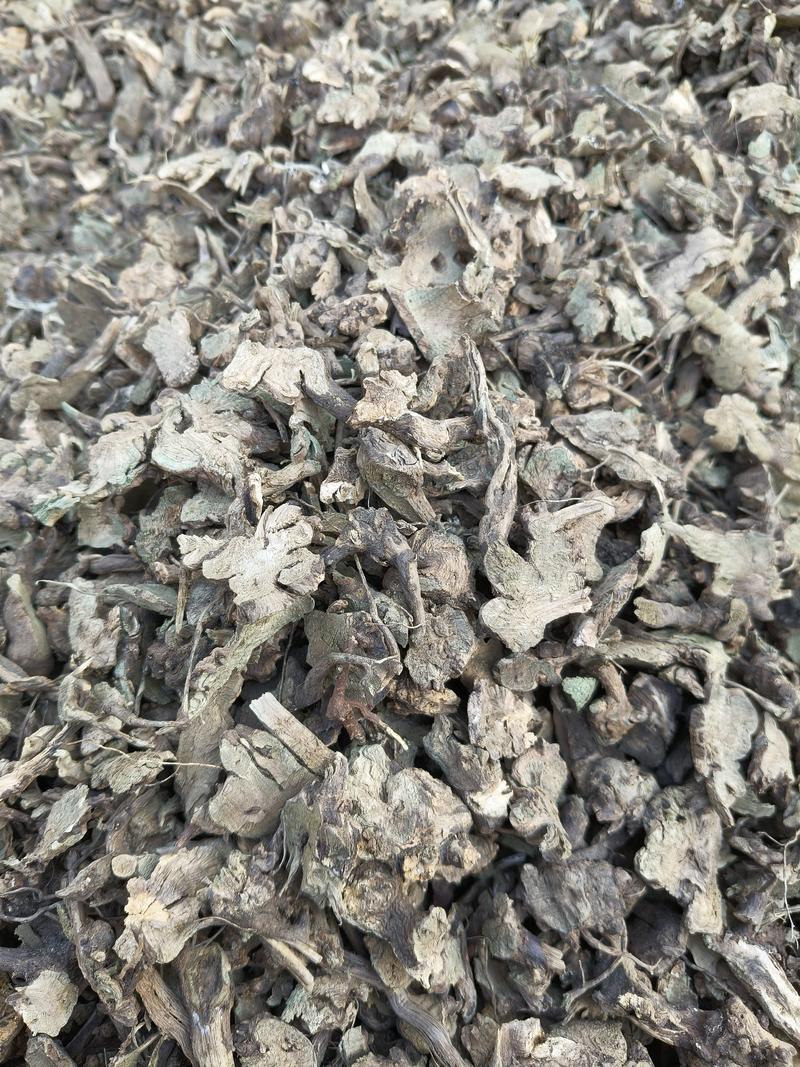 野生香茶菜根精选货的质量