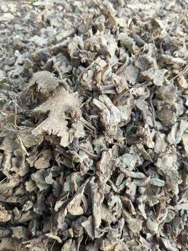 野生香茶菜根精选货的质量