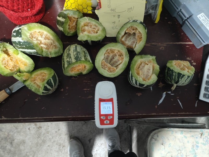 山东昌乐青州博洋9大量上市质量好价格便宜