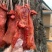 四川腊肉柏树枝柴火熏腊肉腊猪鼻猪拱嘴腊味农家烟熏
