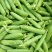 【豌豆】湖北豌豆荚大量上市产地直发对接各大市场电商