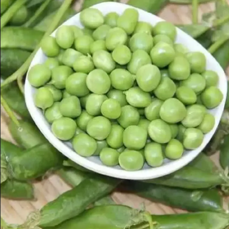 豌豆荚湖北豌豆货源充足可视频实地看货全国发货