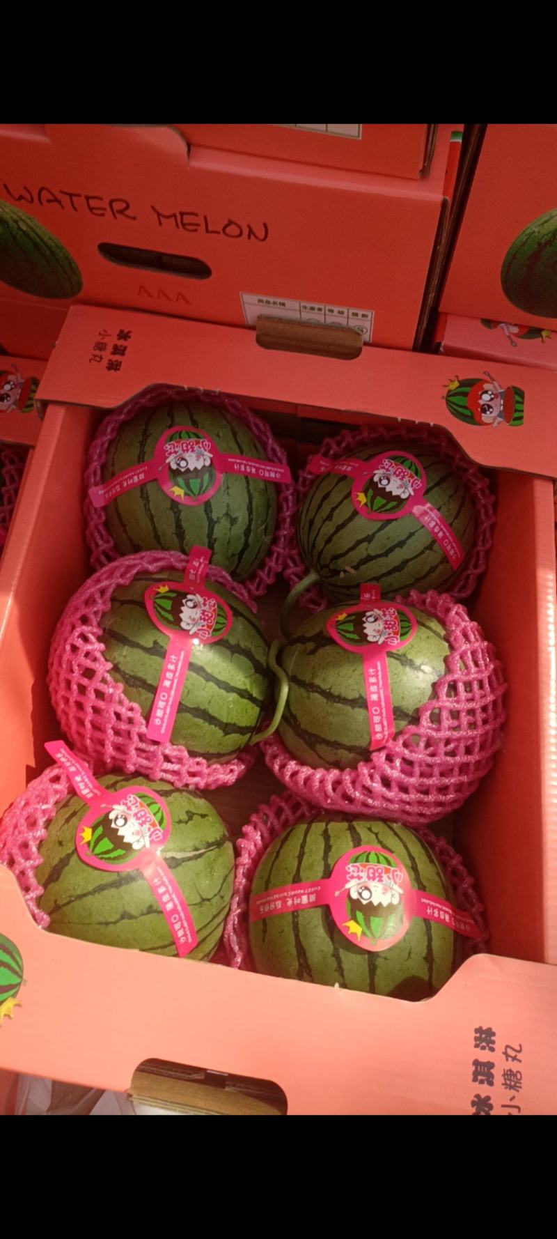 精品2k，早春红玉大量上市万亩基地欢迎光临。
