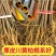 农户自家种植的川厚皮黄柏苗，长期稳定大量供货，欢迎电联！