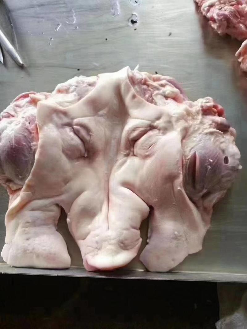 冻品猪肉