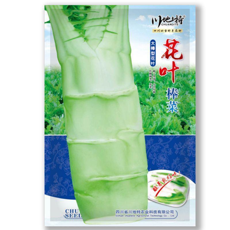 川地特花叶大棒菜种子早熟耐肥耐寒抗病脆嫩爽口棒菜籽大田用