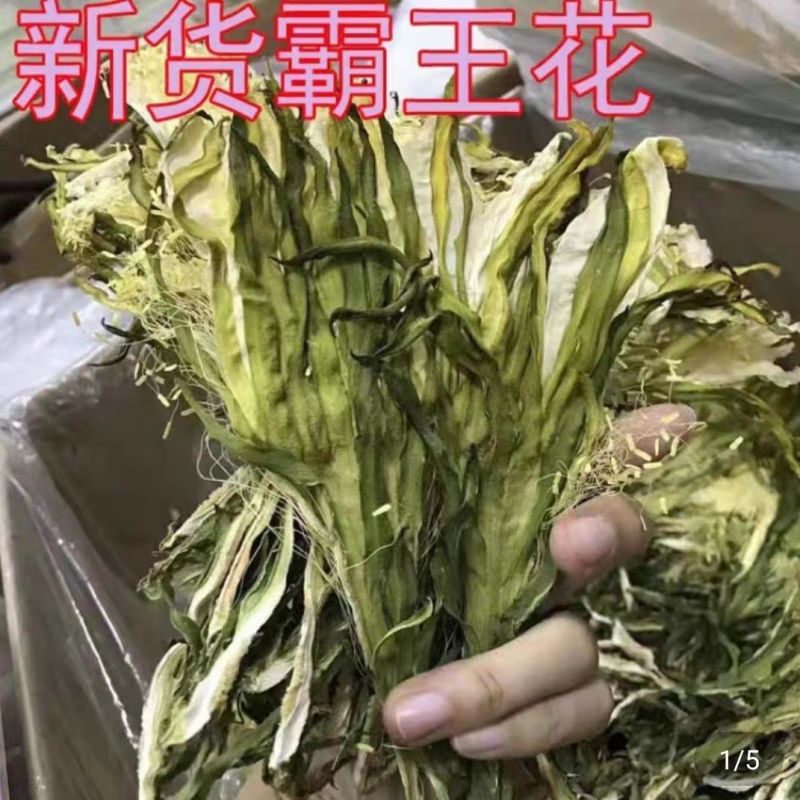 霸王花剑花霸王花干货煲汤料正宗剑花干新货新鲜干货