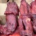 大块肉批发肉感五香大块肉麻辣大块肉地摊跑江湖展销