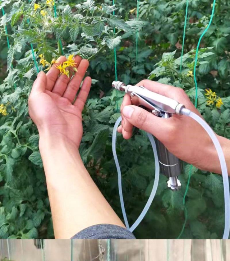 寿光不锈钢喷花器西红柿喷花器番茄樱桃喷花器黄瓜手动喷花器