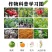 枯草芽孢杆菌生根壮苗防病抗病增产增收通用