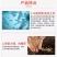 枯草芽孢杆菌生根壮苗防病抗病增产增收通用