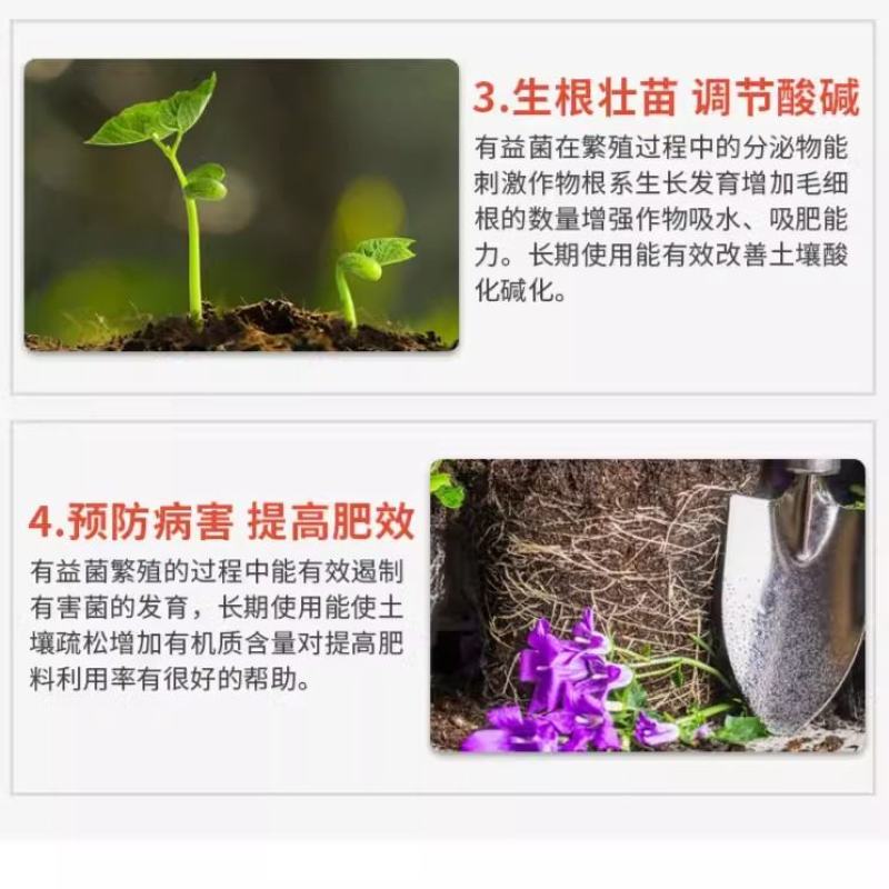 枯草芽孢杆菌生根壮苗防病抗病增产增收通用