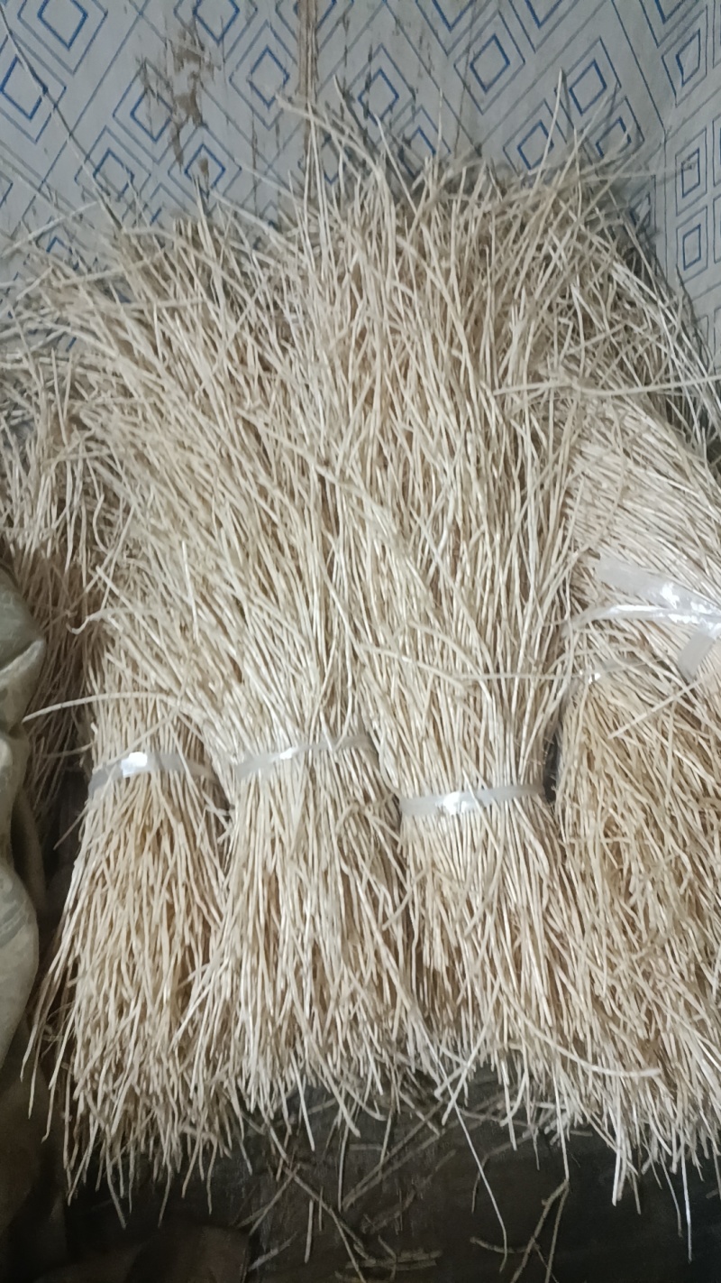 自产自销白茅根