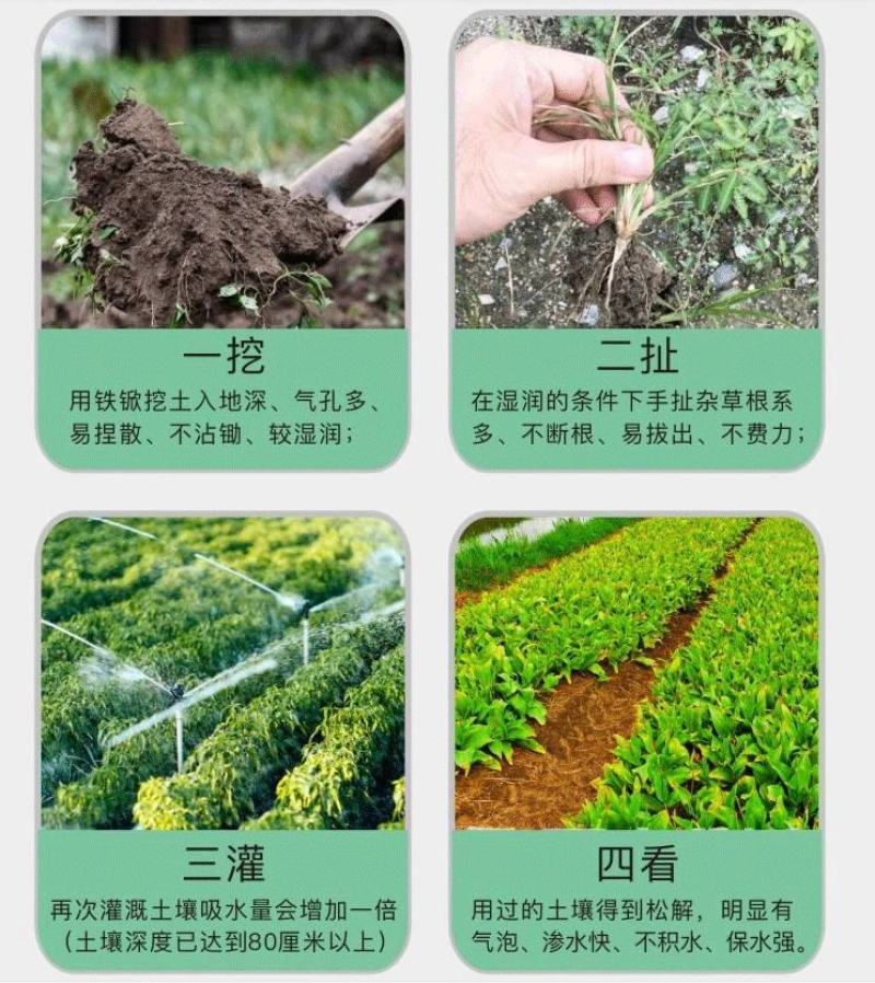 寿光松土精水溶叶面肥土壤破除板结土壤活化剂