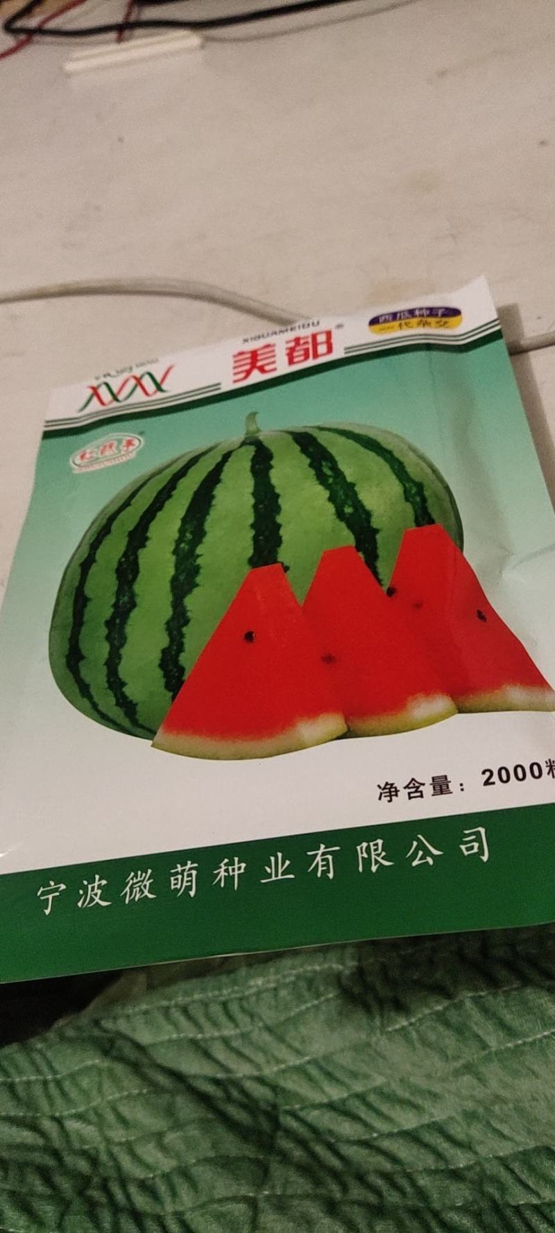 大棚8424西瓜和美都西瓜