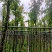 枫香5～8公分
