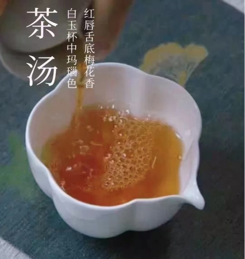 九曲红梅制作五步骤从青叶采摘、萎凋、揉捻、发酵、干燥