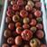 潍坊次品量大草莓柿子赶大集草莓柿子全年供应草莓番茄