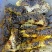 精品黑蜜