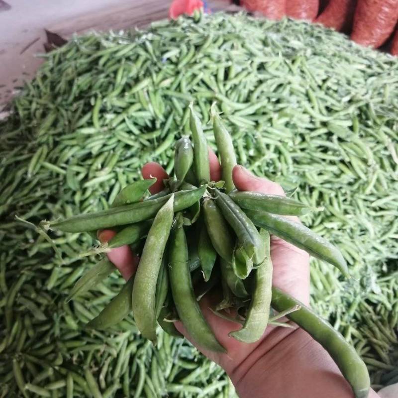 湖北青碗豆，双青十一，双青十二，市场，加工厂，电商