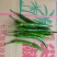精品线椒