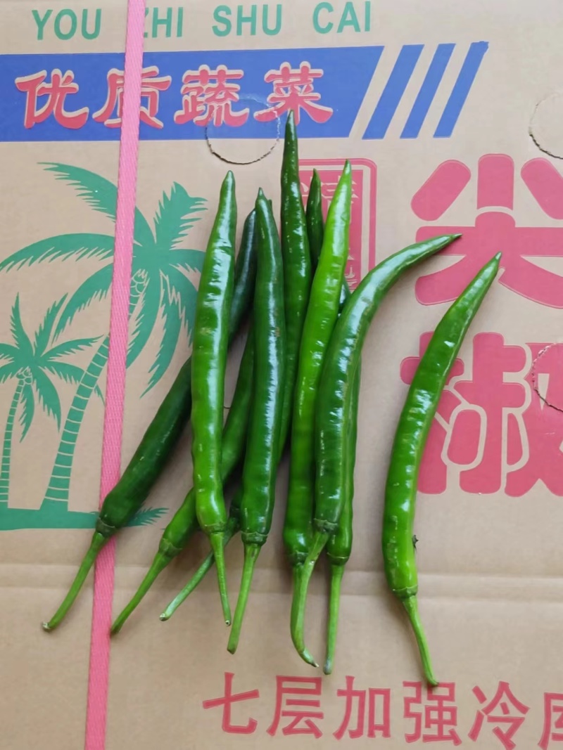 精品线椒