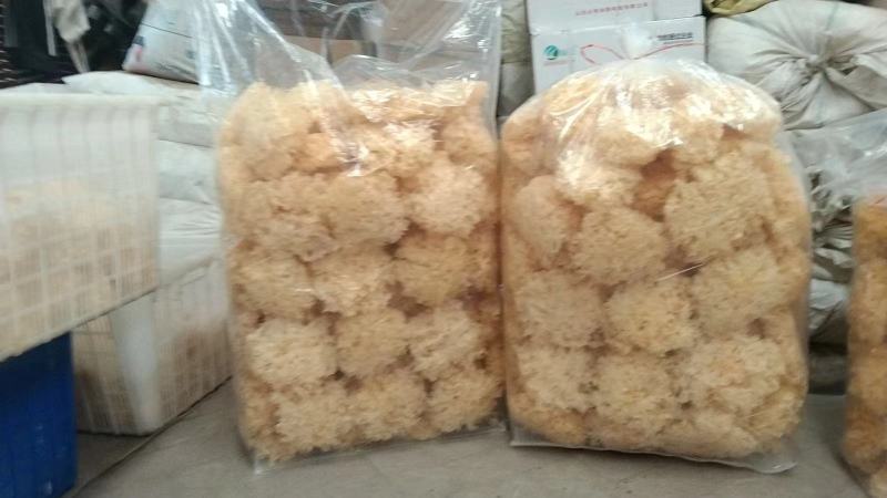 玉木耳一级，基地发货，大量上货，欢迎电话联系沟通洽谈