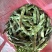 山东省单县油豆，紫花油豆，大量供应，代发全国