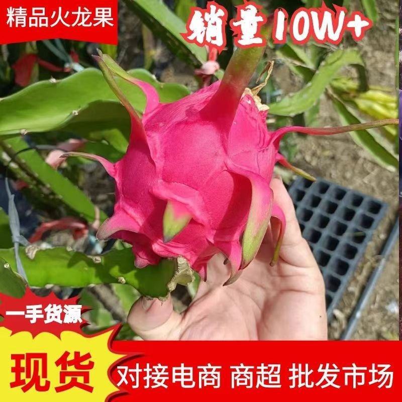 红心火龙果产地直发一手货源甜度高保质保量欢迎选购
