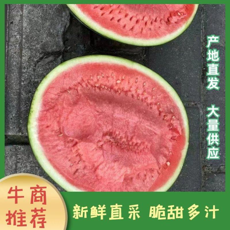 陕西甜王西瓜，大量上市，产地直供，陕西西瓜