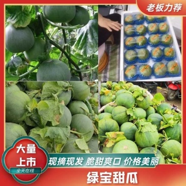 【精品绿宝石甜瓜】山东费县大量上市货源充足价格优惠