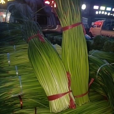 红帽蒜苔