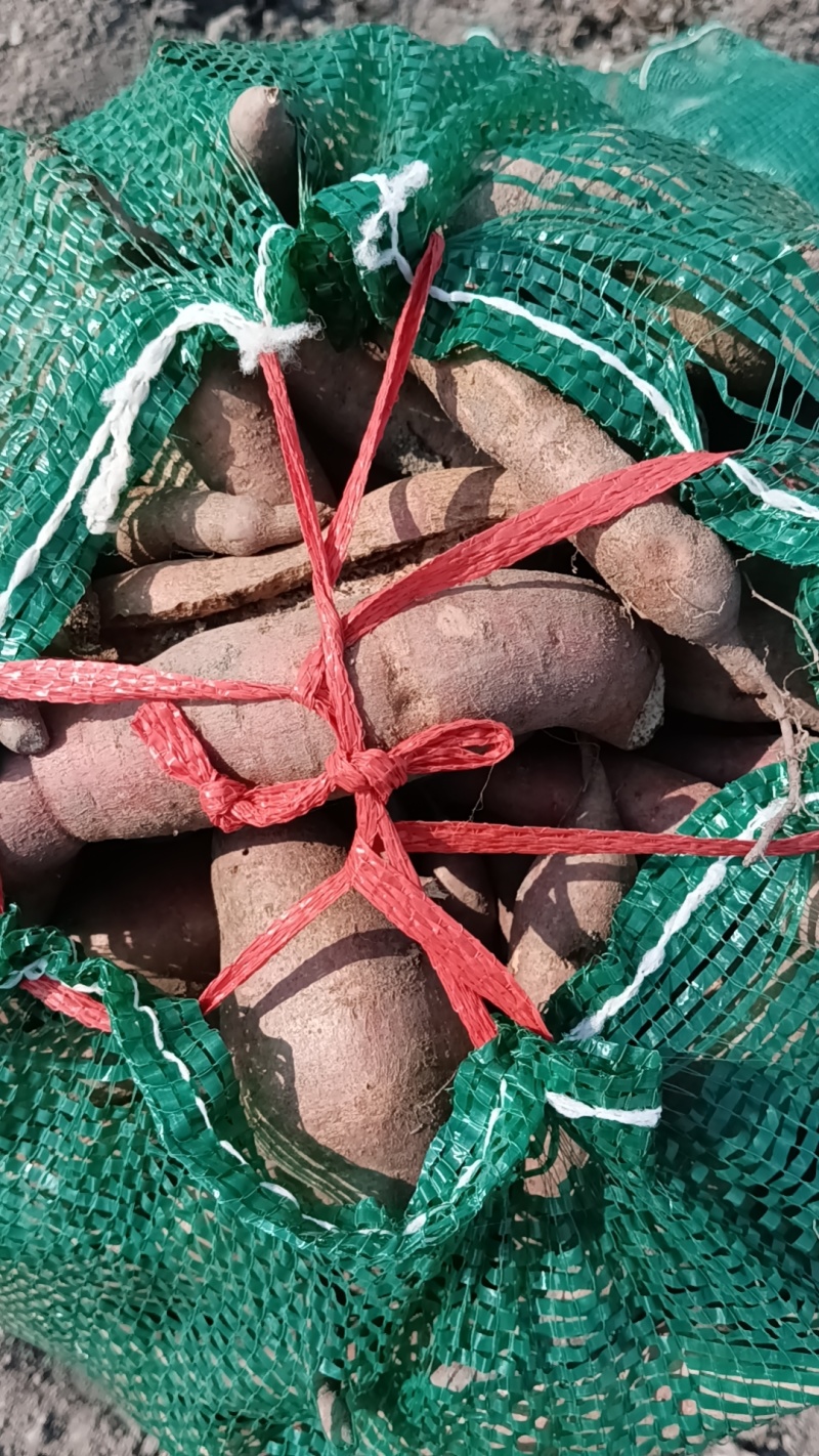 牛薯