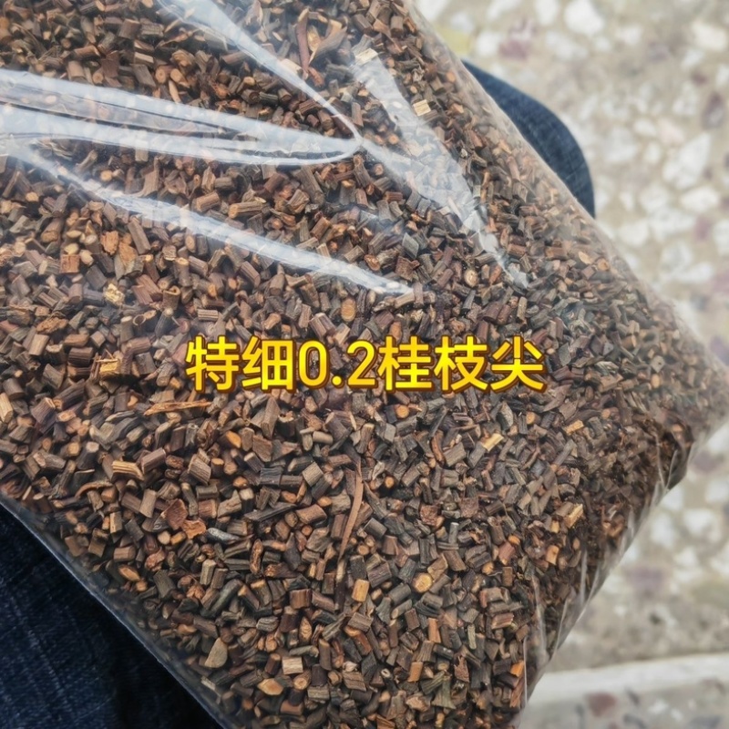 【特细嫩桂枝正品】货对版桂枝尖桂枝广西细桂枝现货