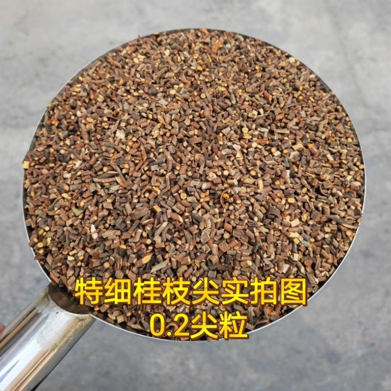 【特细嫩桂枝正品】货对版桂枝尖桂枝广西细桂枝现货