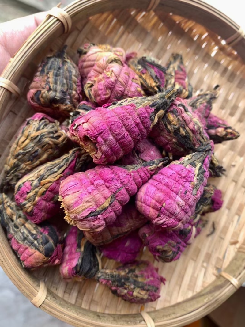 滇红宝塔绣球