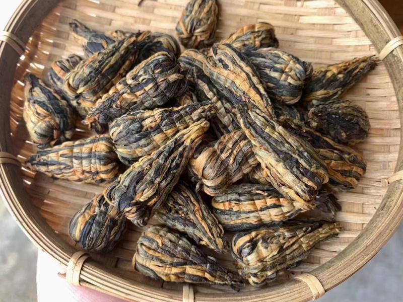 滇红宝塔绣球