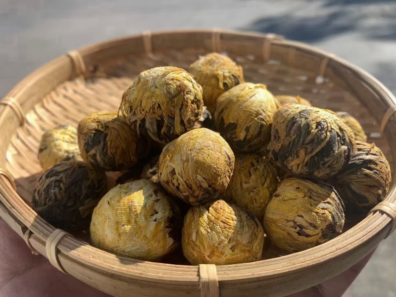 滇红宝塔绣球