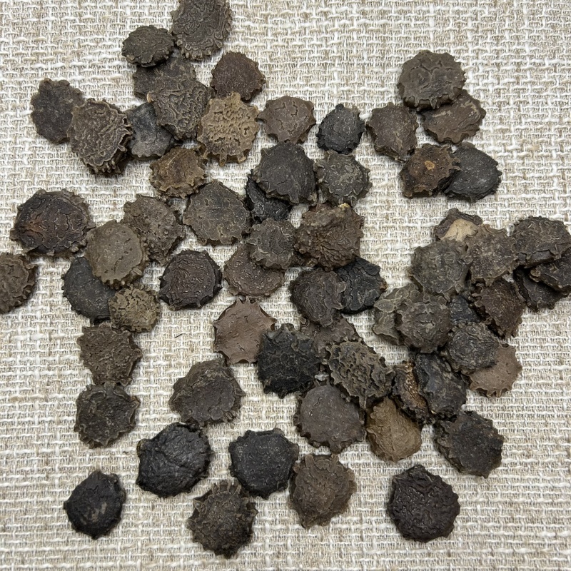 产地货源木鳖子中药材木鳖子散装统货产地货源量大从优拿样品
