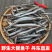 包邮）丹东特产小青鱼干特价清仓