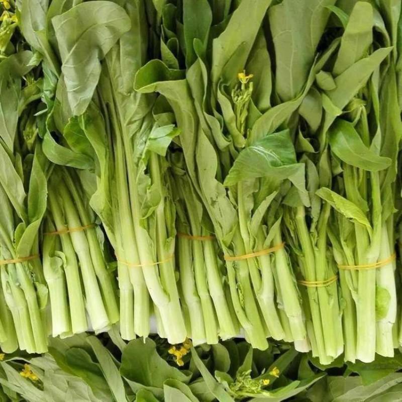 甜嫩早白1号白菜苔种子菜心籽耐热耐寒早熟苔粗侧苔多四季蔬