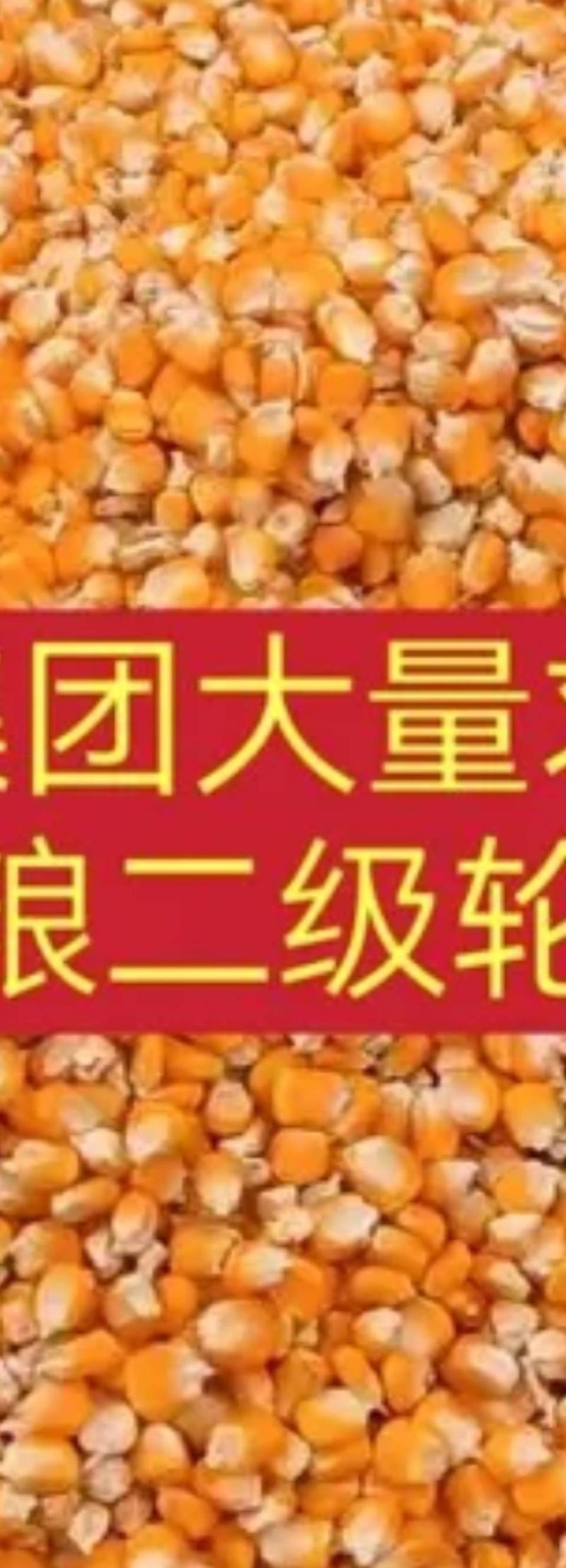 黑龙江二三年2级玉米