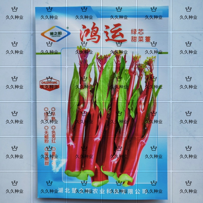 鸿运绿芯甜菜苔种子早熟高产无苦味无蜡粉口感佳紫菜心红菜苔