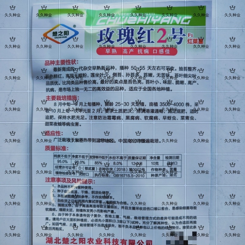 玫瑰红2号红菜苔种子早熟菜心种籽十月红紫菜苔红家庭春秋季