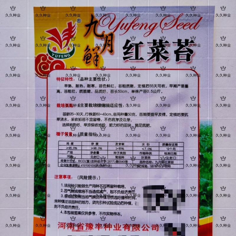 九月鲜红菜苔种子早熟高产耐寒红菜薹根粗叶少春夏秋四季蔬菜