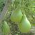 农家菜葫芦种子可食用菜葫芦种籽瓠瓜种籽高产早熟抗病大田蔬