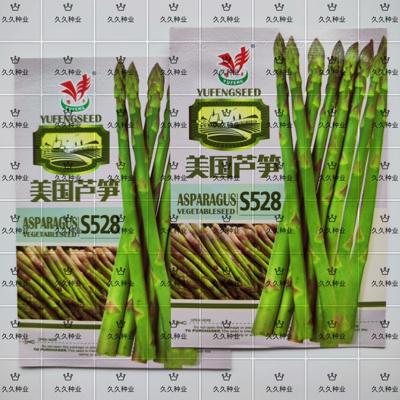 美国芦笋种子耐热耐寒耐绿高产抗病大田阳台四季种龙须菜蔬菜