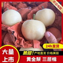 原产地供货商：黄金梨，三层棉，大量上市中，冷库货源！