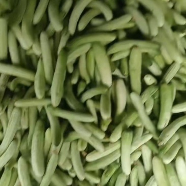 白黄瓜，不苦的黄瓜，白燕黄瓜，燕青黄瓜